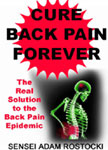 Cure Back Pain Forever Book