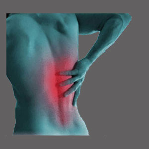 Nutritional supplements for spinal stenosis