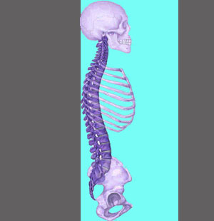 Spinal Stenosis Prognosis